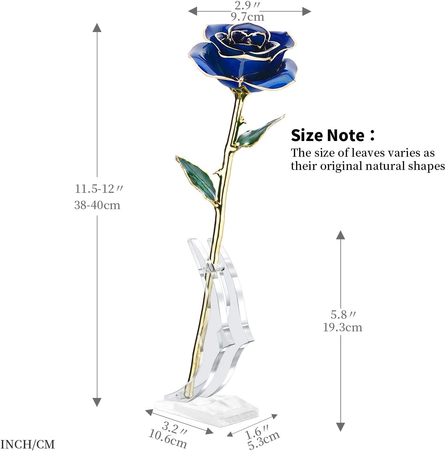24K Golden Rose Birthday Gift for Her | Real Fresh Long Stem Rose with Stand (Blue)