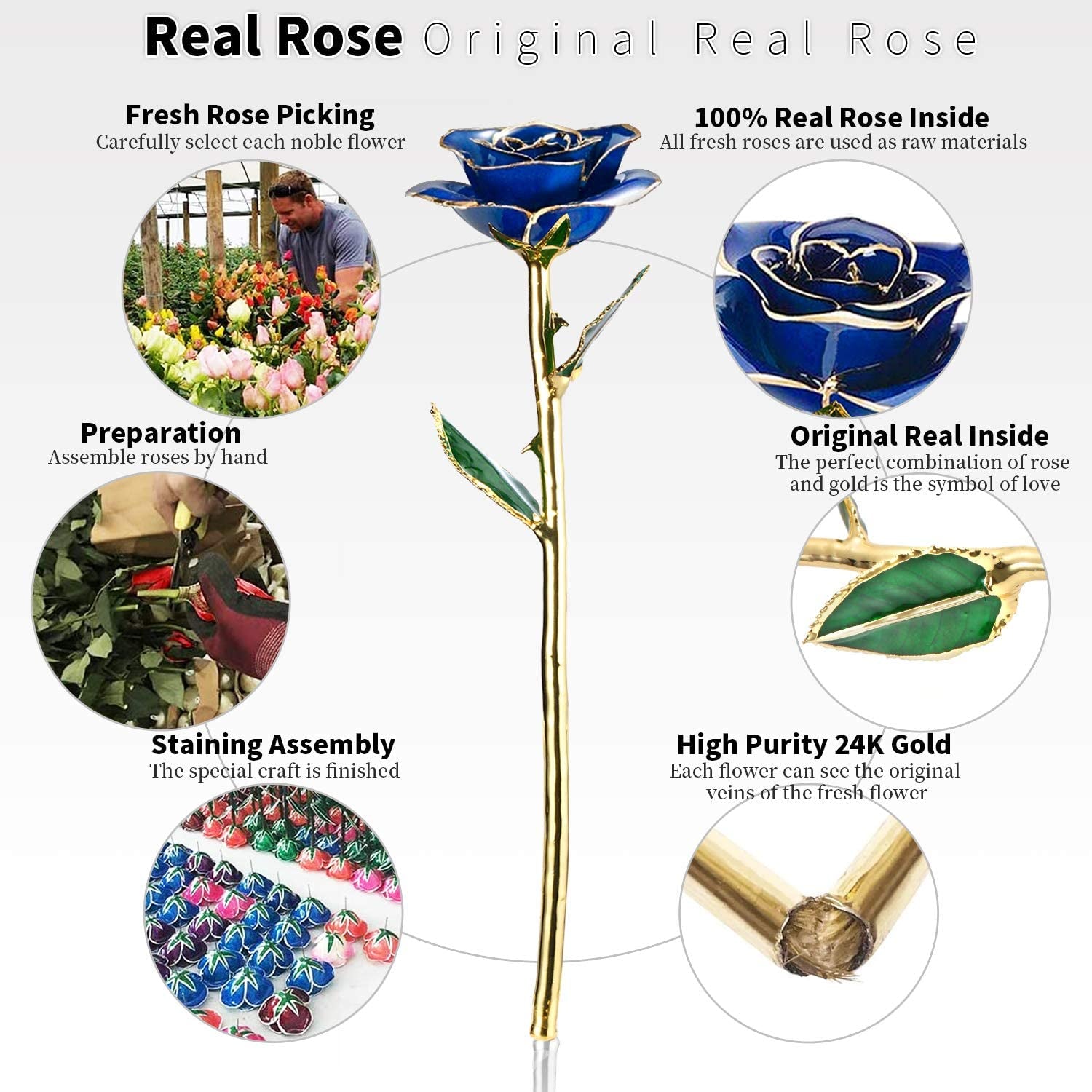 24K Golden Rose Birthday Gift for Her | Real Fresh Long Stem Rose with Stand (Blue)