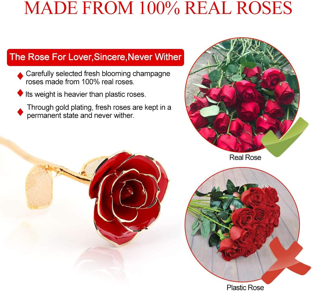24K Gold Red Rose | Preserved Long Stem Gift for Valentine’s & Anniversaries