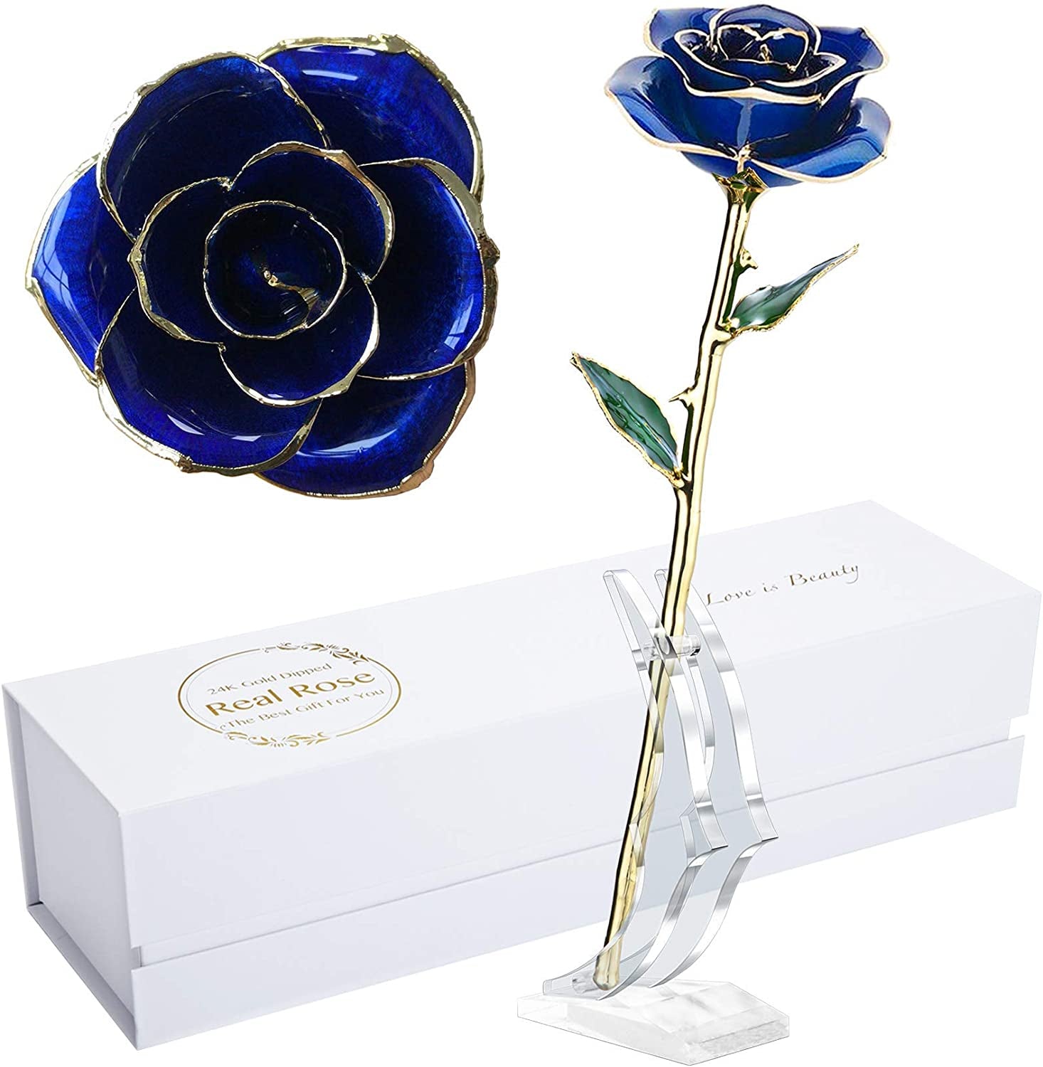 24K Golden Rose Birthday Gift for Her | Real Fresh Long Stem Rose with Stand (Blue)