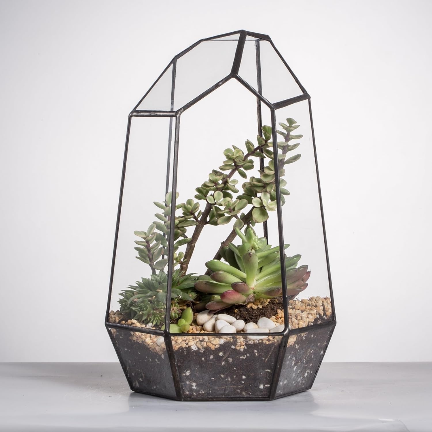 Geometric Glass Terrarium – Black Open Planter for Succulents & Cacti (No Plants)