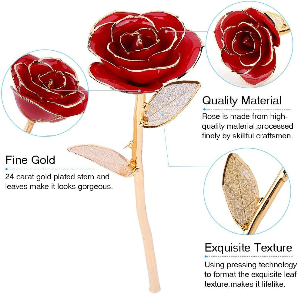 24K Gold Red Rose | Preserved Long Stem Gift for Valentine’s & Anniversaries