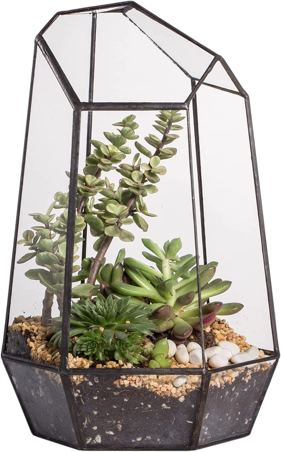 Geometric Glass Terrarium – Black Open Planter for Succulents & Cacti (No Plants)