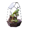Home & Garden