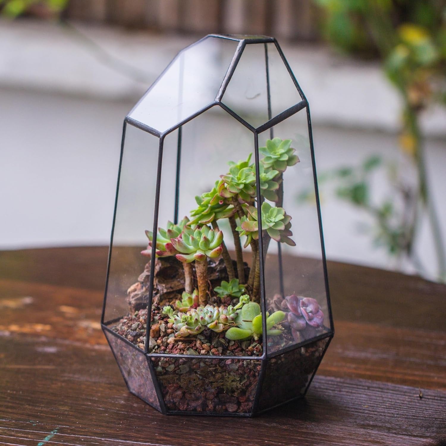 Geometric Glass Terrarium – Black Open Planter for Succulents & Cacti (No Plants)
