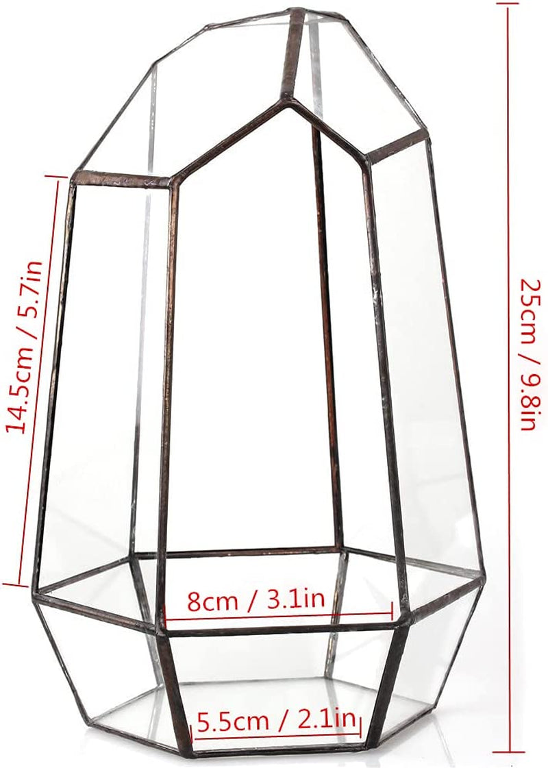 Geometric Glass Terrarium – Black Open Planter for Succulents & Cacti (No Plants)
