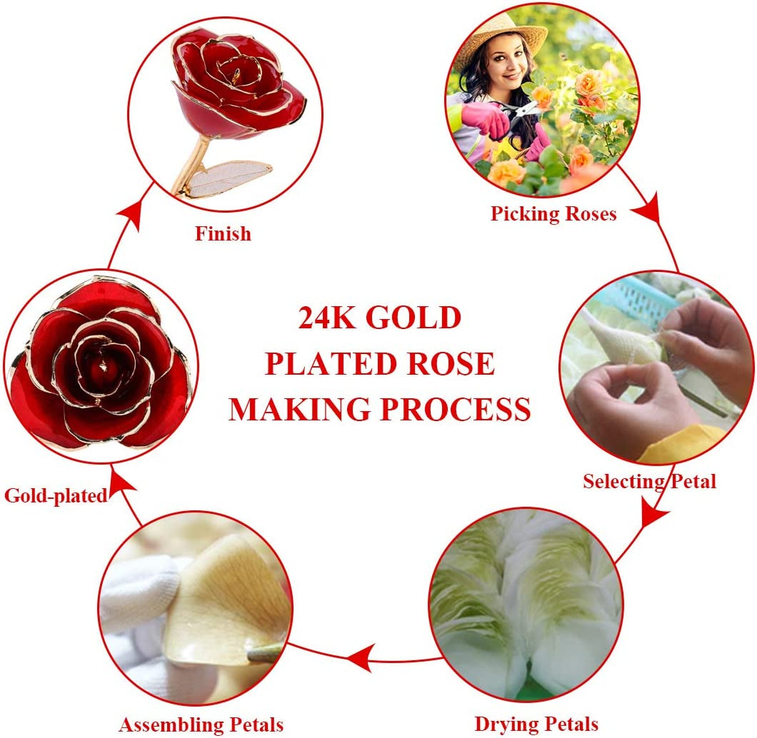 24K Gold Red Rose | Preserved Long Stem Gift for Valentine’s & Anniversaries